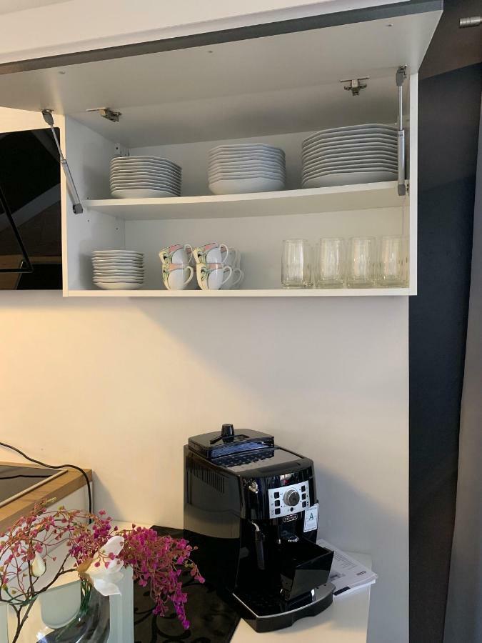 Luxus Appartement Bruehlervorstadt Erfurt Kültér fotó